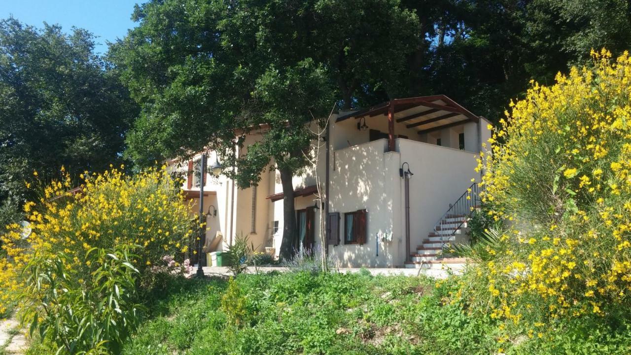 Bed and Breakfast Le Querce à Ancône Extérieur photo